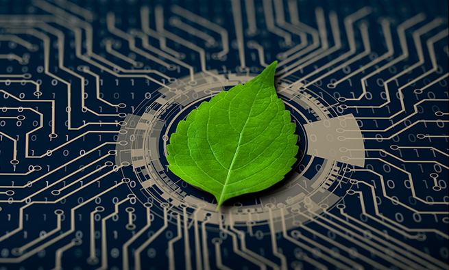 Picture of a tree leaf over a printed circuit board
