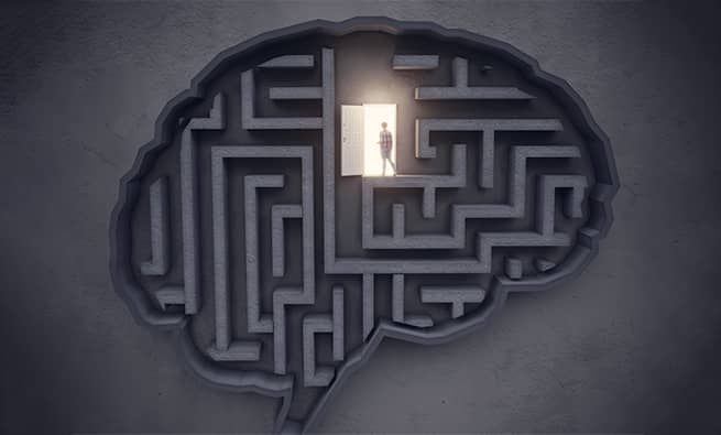 brain shaped maze