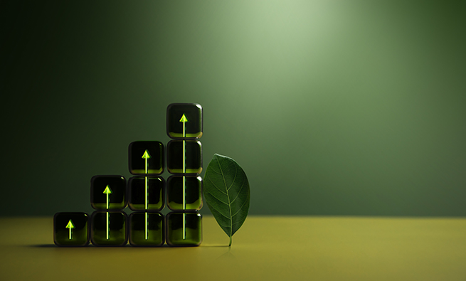 Integrated Thinking for Sustainable Business Management