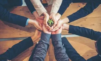 hands holding a growing plant
