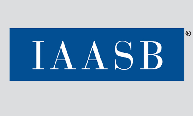 Martin Baumann Named New IAASB Chair | IMA