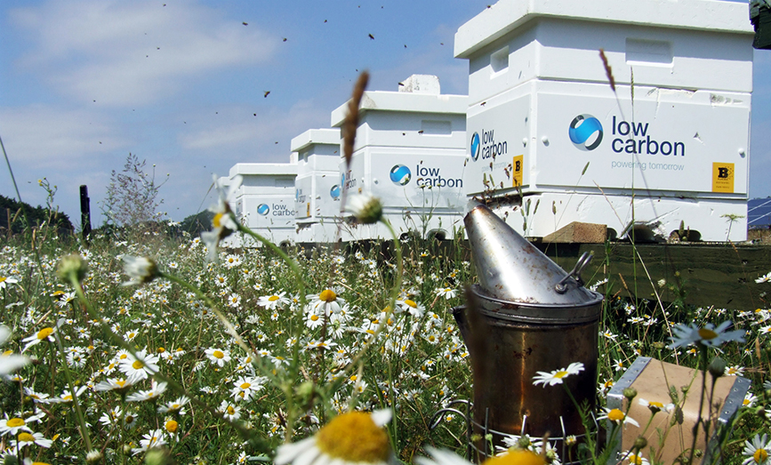 7Sustainability-Final