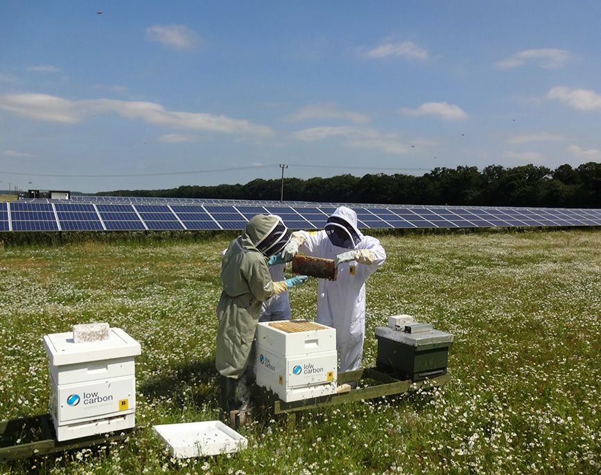 7SustainabilityinsideFinal